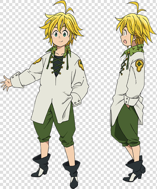 Meliodas Boar Hat Outfit  HD Png DownloadTransparent PNG