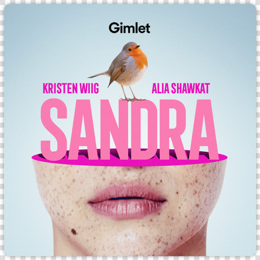 Sandra Podcast  HD Png DownloadTransparent PNG