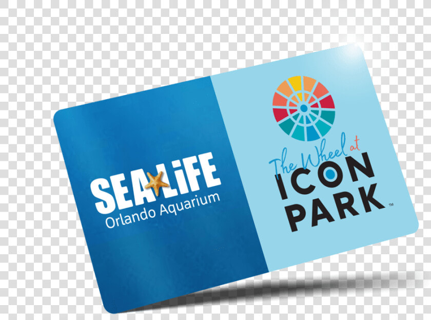 The Wheel And Sea Life Orlando Aquarium Combo Ticket   Graphic Design  HD Png DownloadTransparent PNG