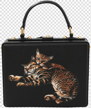 Du0026g Cat Print Box Bag   Handbag  HD Png DownloadTransparent PNG