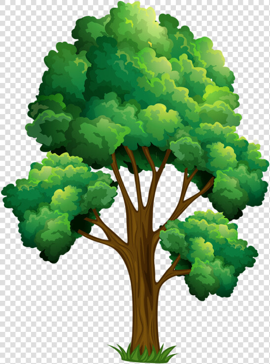 Elm Tree Clipart   Horse Chestnut Tree Clip Art  HD Png DownloadTransparent PNG