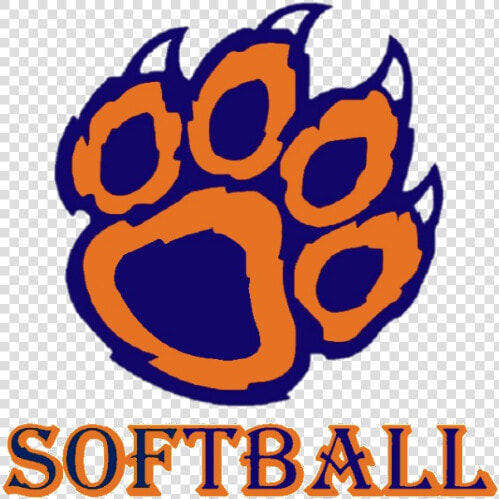 Softball Image   Descent Of Man And Selection  HD Png DownloadTransparent PNG