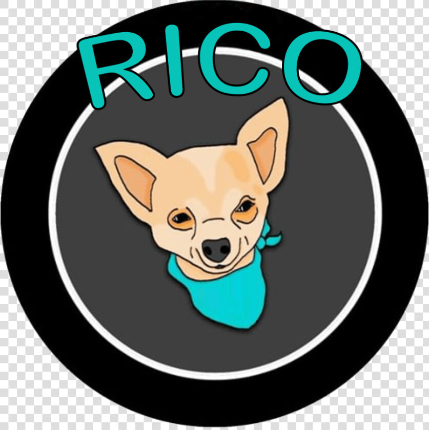 Chihuahua  HD Png DownloadTransparent PNG