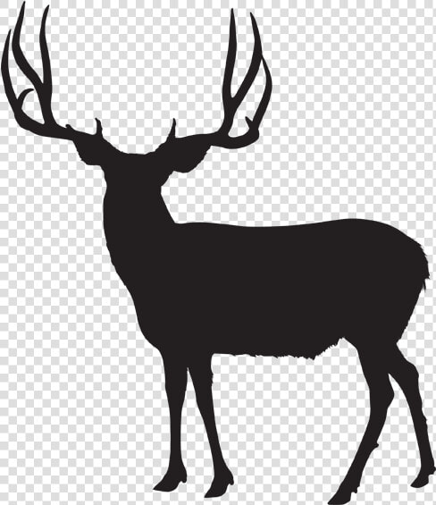 Mule Deer Antlers Silhouette Png   Vector Mule Deer Silhouette  Transparent PngTransparent PNG