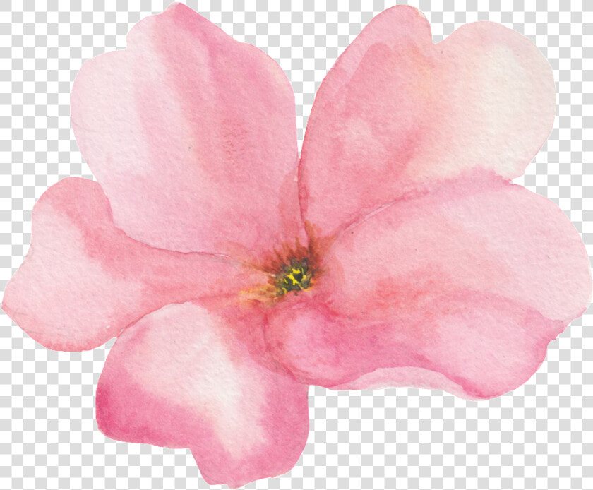 Transparente Png Ornamental De Flores Rosas   Flores Rosadas Transparentes  Png DownloadTransparent PNG