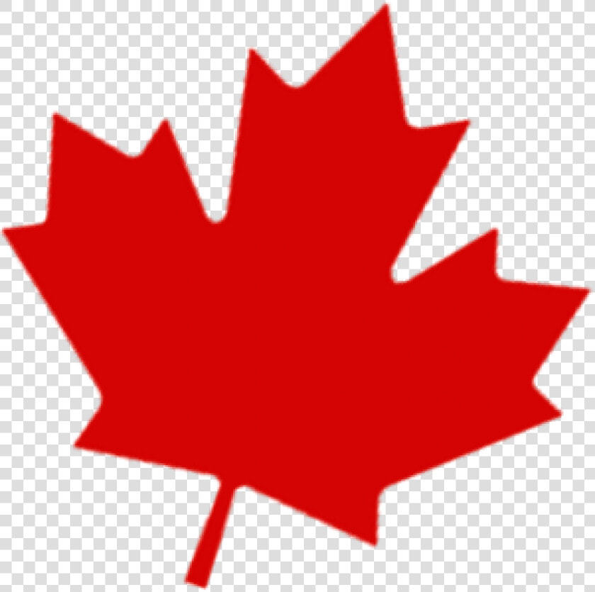 Transparent Canada Maple Leaf Clipart   Red Maple Leaf Clip Art  HD Png DownloadTransparent PNG