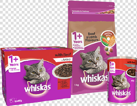 Whiskas Filhote 1 Kg Premium  HD Png DownloadTransparent PNG