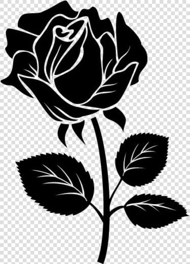 Transparent Rose Stencil Png Image  Rose Sketch Png   Stencil Rose Svg  Png DownloadTransparent PNG