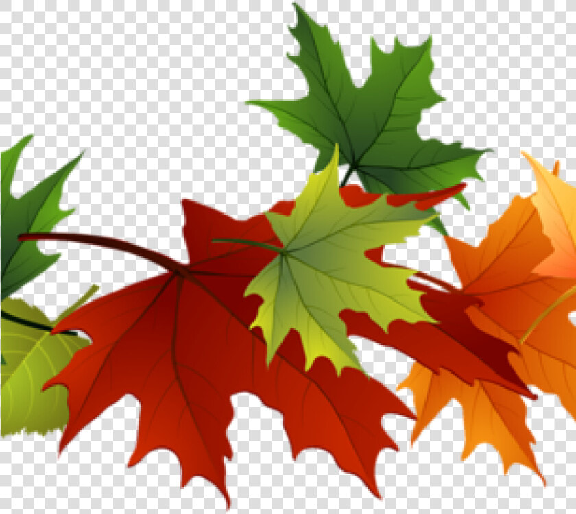 Fall Leaves Images Clip Art Free Leaf Clipart At Getdrawings   Transparent Background Fall Leaves  HD Png DownloadTransparent PNG