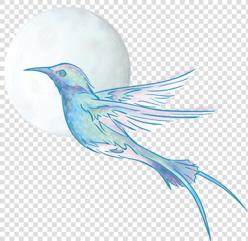 Perching Bird  HD Png DownloadTransparent PNG