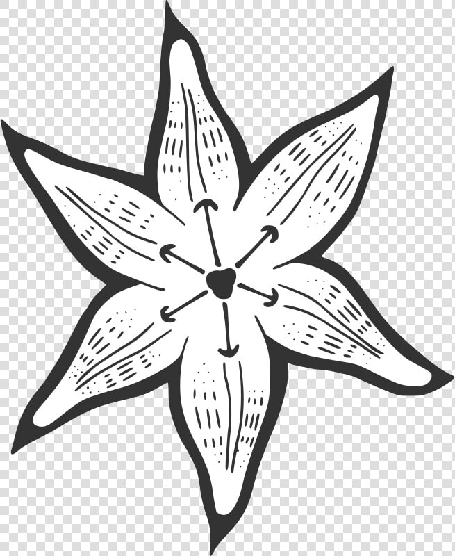 Transparent Easter Lily Clipart Black And White   Clipart Outline Of A Lilypad Flower  HD Png DownloadTransparent PNG