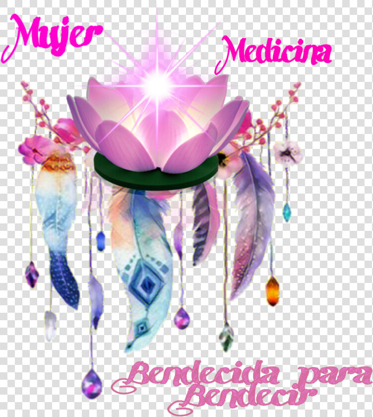 Mujer Medicina El Espíritu Mágico De Flor De Loto   Flowers And Feathers Png  Transparent PngTransparent PNG