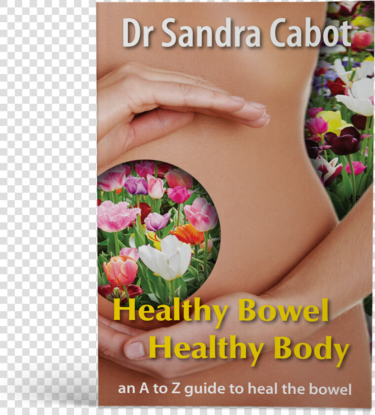 Healthy Bowel Healthy Body  HD Png DownloadTransparent PNG