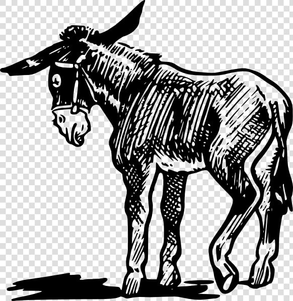 Free Vector Donkey Outline In Black And White Clip   Donkey Clipart  HD Png DownloadTransparent PNG