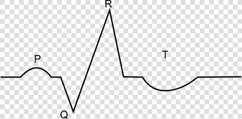 Blank Ekg  HD Png DownloadTransparent PNG