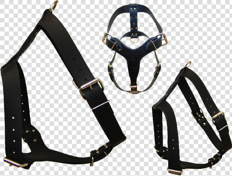 Halter  HD Png DownloadTransparent PNG