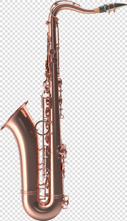 Transparent Saxophone Png   Piccolo Clarinet  Png DownloadTransparent PNG