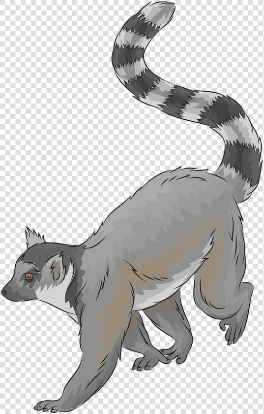 Hog Nosed Skunk  HD Png DownloadTransparent PNG