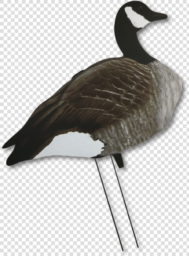 Goose Decoy Silhouettes On Sale  HD Png DownloadTransparent PNG