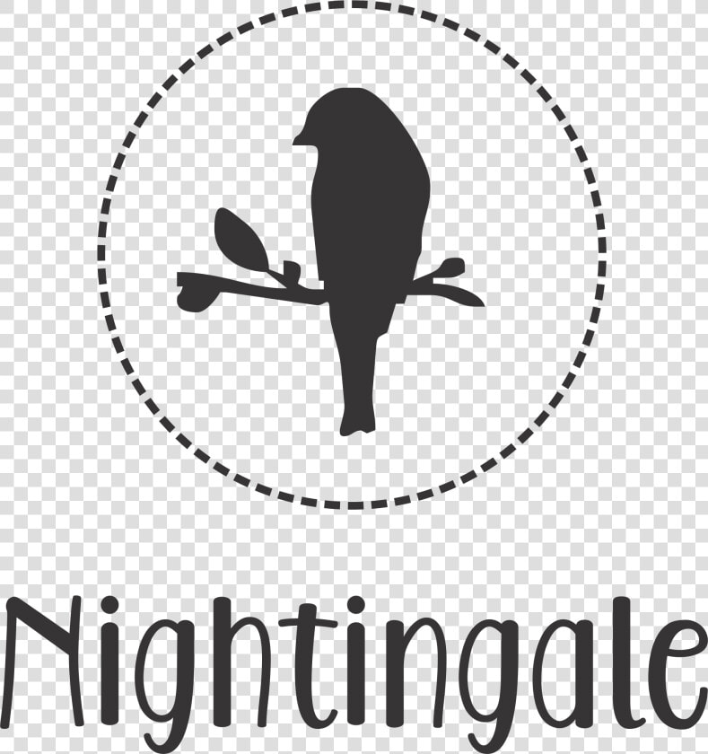 Nightingale   Laundry Icons  HD Png DownloadTransparent PNG