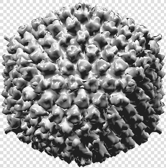 Adenovirus Type 5  HD Png DownloadTransparent PNG