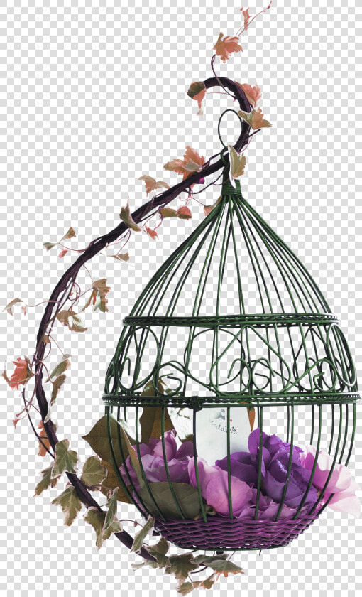 Birdcage Png Image Background   Transparent Background Bird Cage Png  Png DownloadTransparent PNG