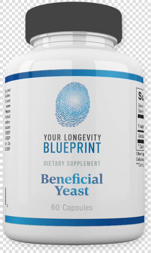 Your Longevity Blueprint  Building A Healthier Body  HD Png DownloadTransparent PNG