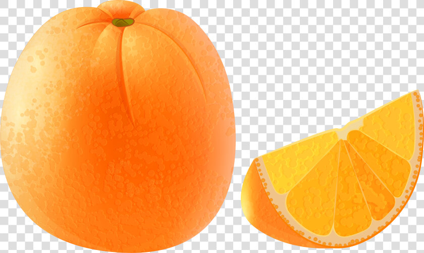 Orange Transparent Png Clip Art Image   Seedless Fruit  Png DownloadTransparent PNG