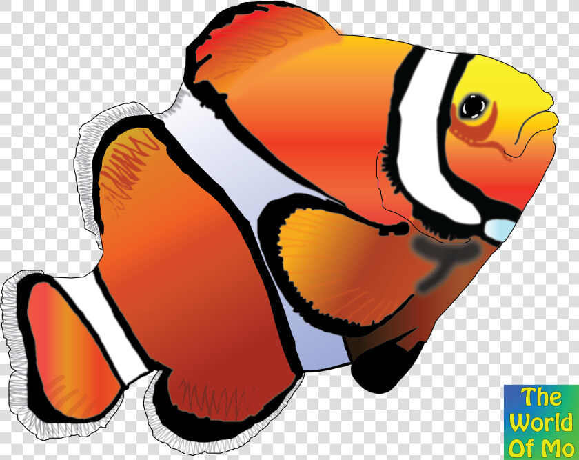 Clown Fish 2 Color Clipart   Png Download   Cartoon Clownfish  Transparent PngTransparent PNG