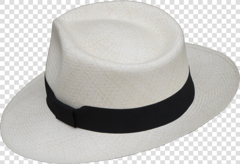 Transparent White Cowboy Hat Png   Panama Hat Png  Png DownloadTransparent PNG