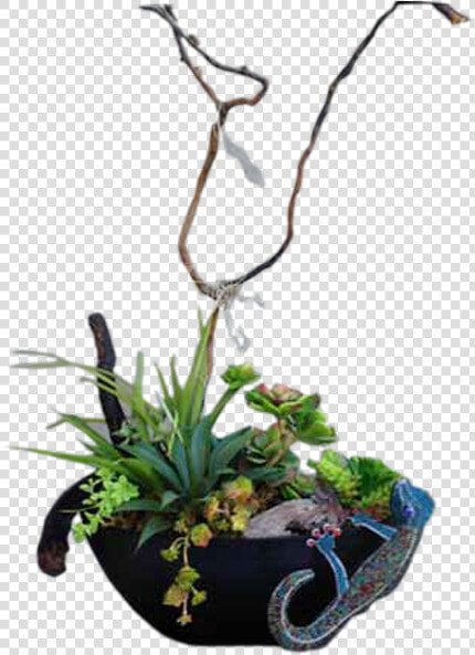 Ikebana  HD Png DownloadTransparent PNG