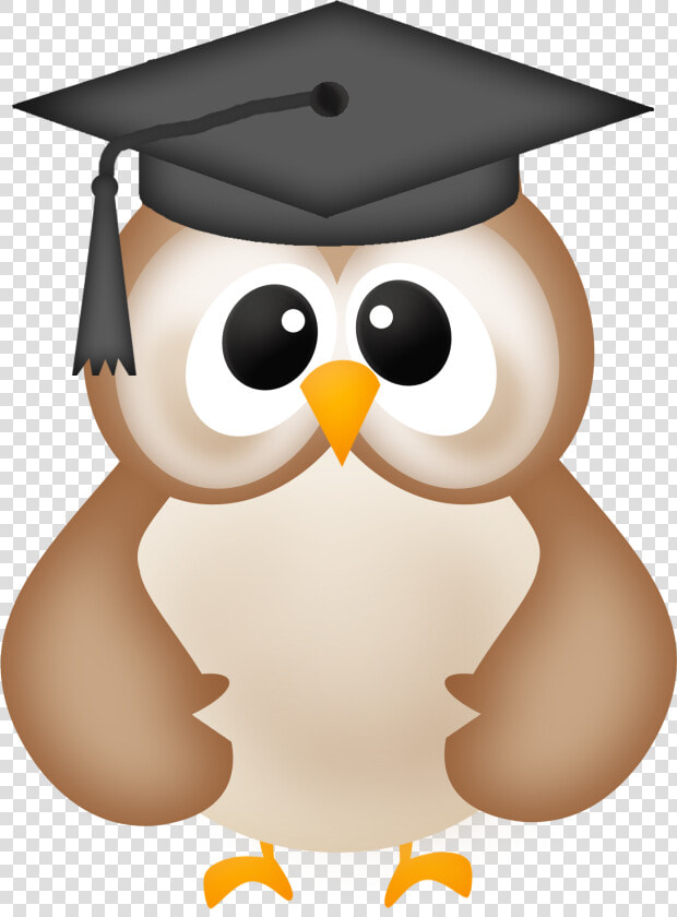 Owl Graduation Png   Imagenes De Buhos Para Graduacion  Transparent PngTransparent PNG