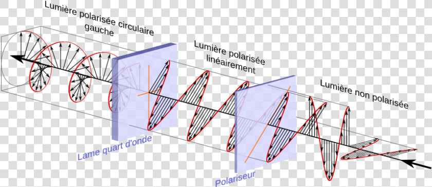 Polariseur Lame Quart onde   Do Polarizing Filters Work  HD Png DownloadTransparent PNG