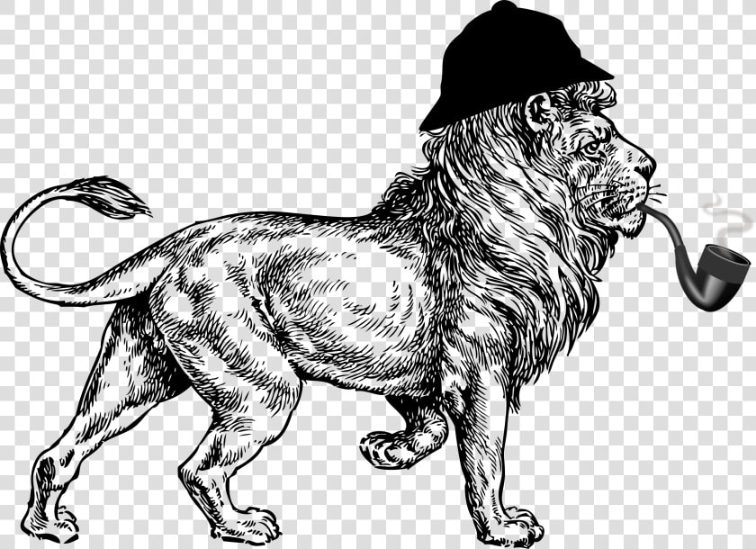 Sherlock Lion Clip Arts   Expeditions Maasai Safaris  HD Png DownloadTransparent PNG