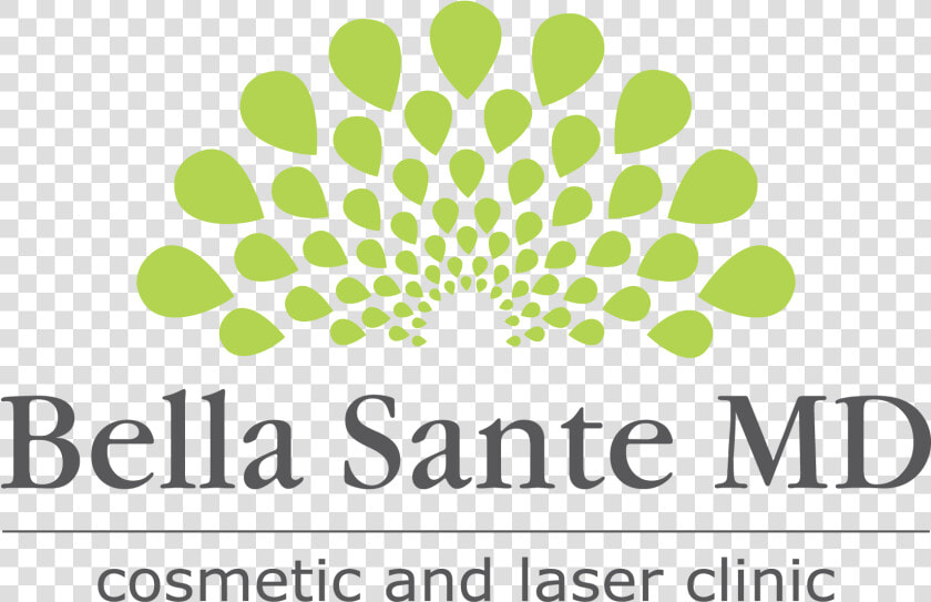 Bella Sante New Logo   Moving Optical Illusions  HD Png DownloadTransparent PNG