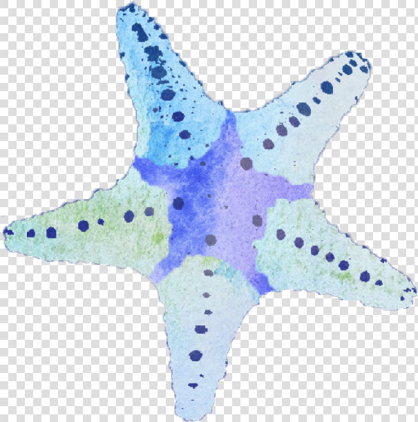 Starfish   Png Download   Starfish  Transparent PngTransparent PNG