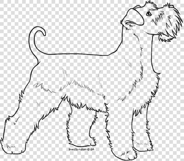 Miniature Schnauzer Line Drawing  HD Png DownloadTransparent PNG