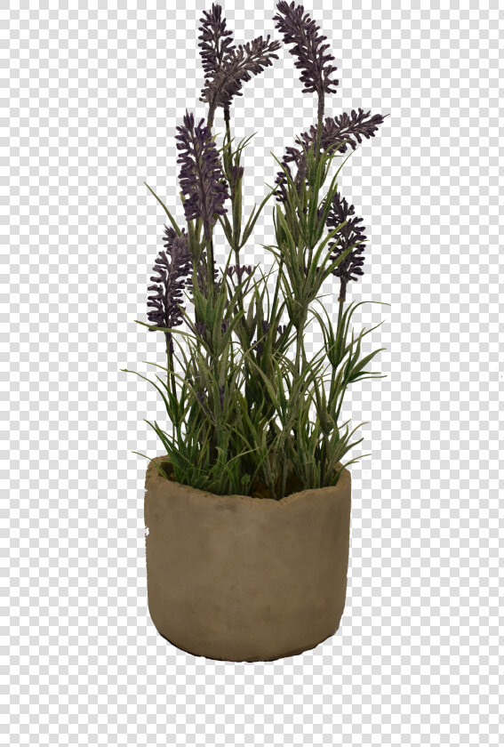 Small Lavender Pot   Flowerpot  HD Png DownloadTransparent PNG