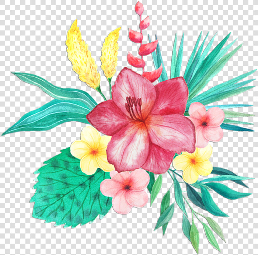 Hawaiian hibiscus   Tropical Flower Watercolor Png  Transparent PngTransparent PNG