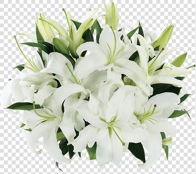 Tight Bouquet Of Lilies   White Lily Flower  HD Png DownloadTransparent PNG