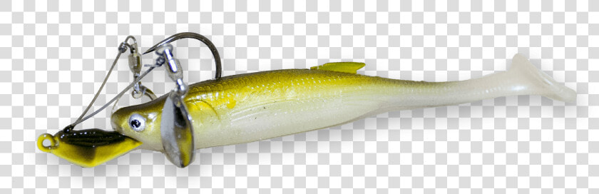 Sardine  HD Png DownloadTransparent PNG