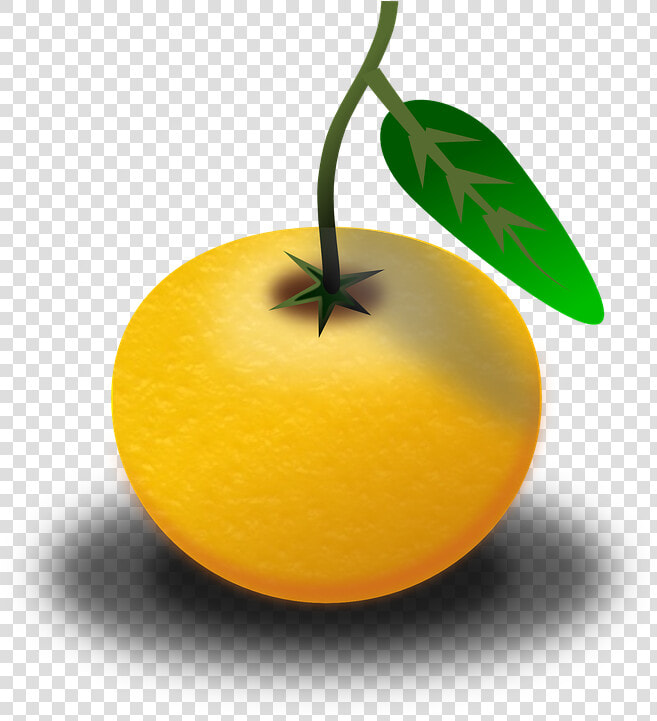 Clipart Of Pomelo  HD Png DownloadTransparent PNG