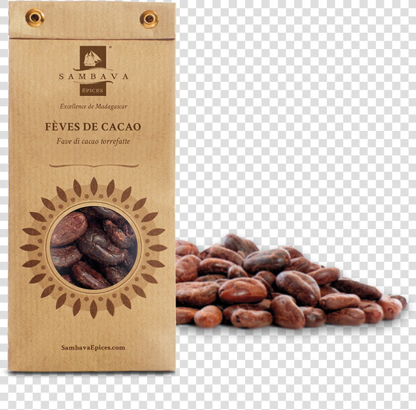 Cocoa Bean Png  roasted Cocoa Beans   Spring Of Tampa Bay  Transparent PngTransparent PNG