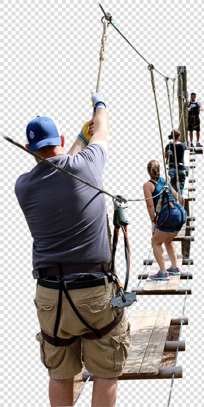 Team Building Orlando Zipline Tree Trek Adventure Park   Portable Network Graphics  HD Png DownloadTransparent PNG