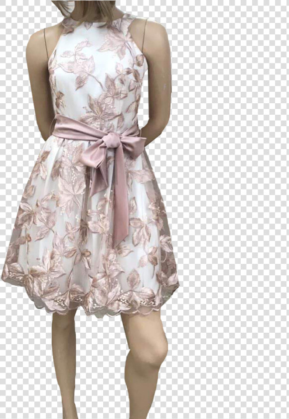 Mini Dress With Tulle And Shoulders   Cocktail Dress  HD Png DownloadTransparent PNG