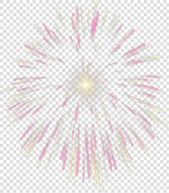 Fuego Artificial Png   Gif De Fuegos Artificiales Png  Transparent PngTransparent PNG