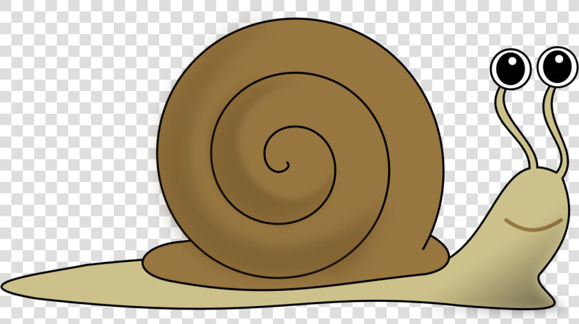 Snail  Eyes  Funny  Animal   Snail Clipart  HD Png DownloadTransparent PNG