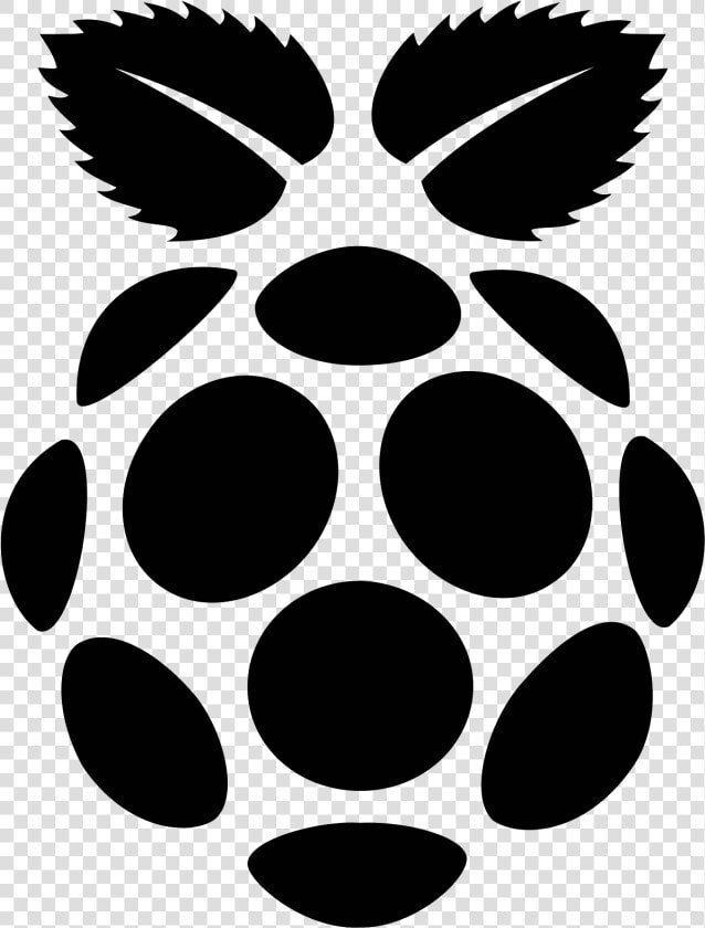 Raspberry Pi Filled Icon   Raspberry Pi Logo Png  Transparent PngTransparent PNG