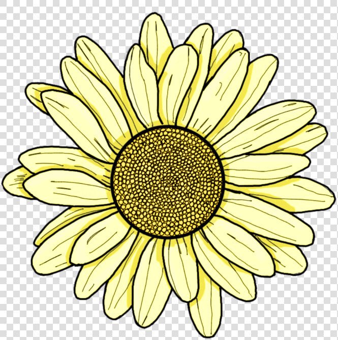  yellow  flower  daisy  sunflower  sping  summer  pretty   Aesthetic Yellow Flower Drawing  HD Png DownloadTransparent PNG