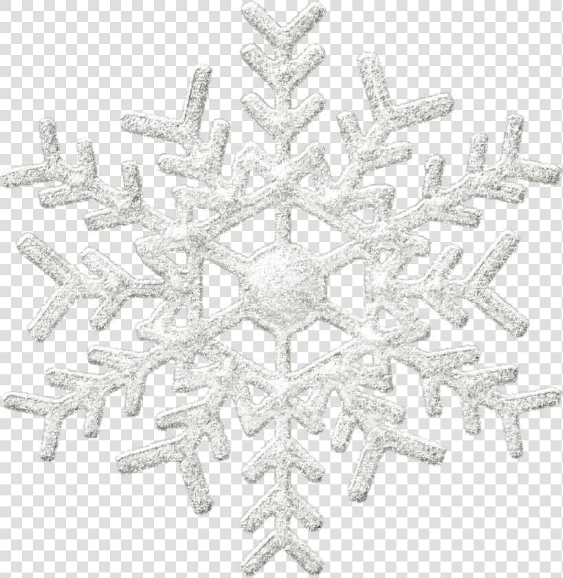 Transparent Black Snowflake Clipart   Transparent Background Silver Snowflake  HD Png DownloadTransparent PNG